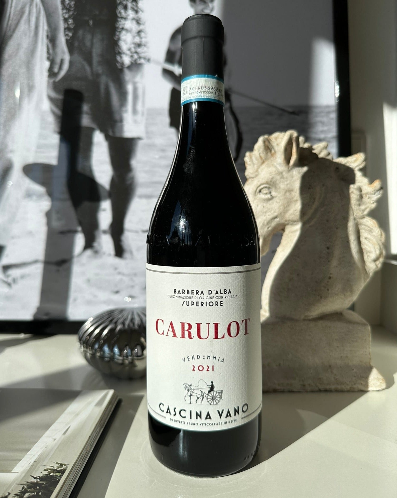 Barbera d´Alba Superiore (2021)